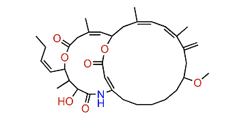 Amphilactam C